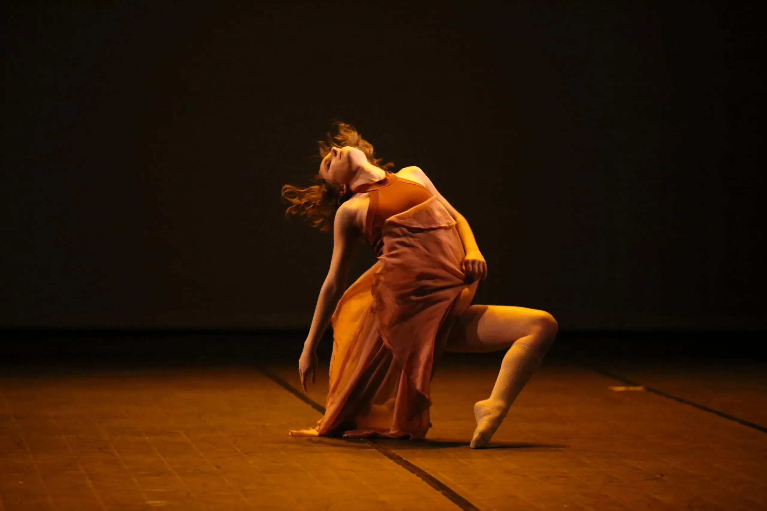 Ana Luiza Santilli